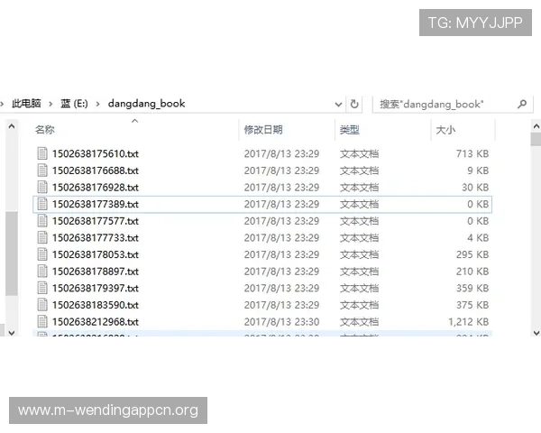 问鼎正规网址，全面解析优质网站的选择标准与实用技巧